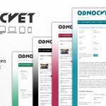 Odnocvet classified ads website theme with custom colors.
